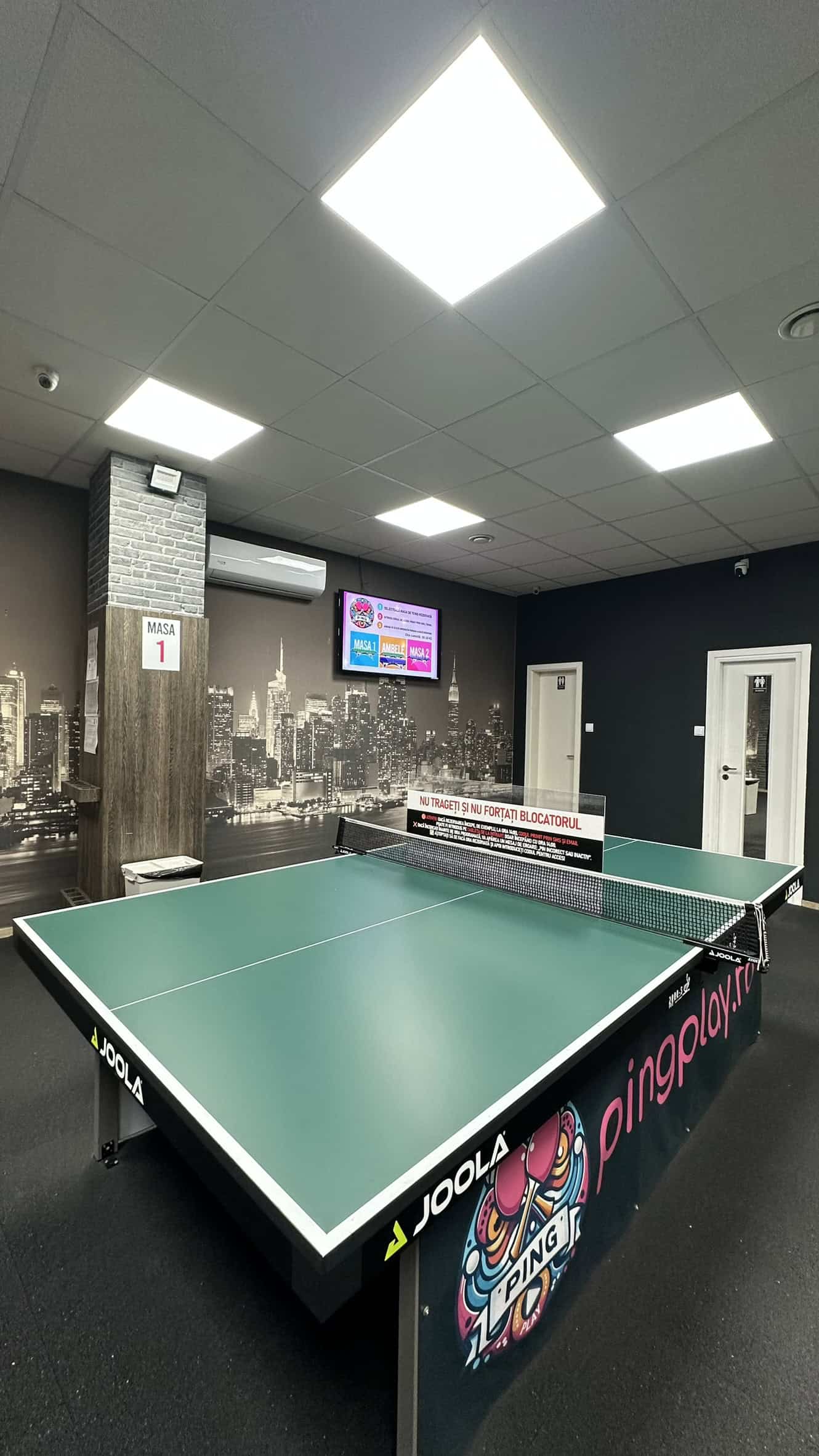ping-pong-timisoara-mese-profesionale