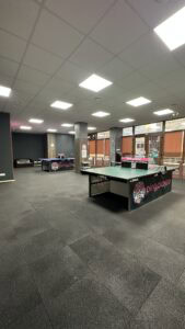 ping-pong-timisoara-mese-profesionale