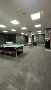 ping-pong-timisoara-mese-profesionale