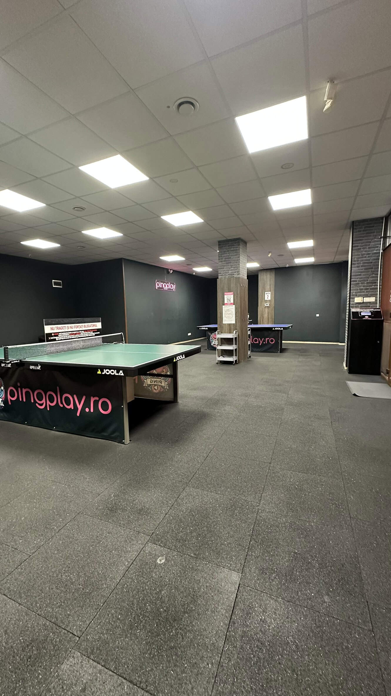 ping-pong-timisoara-mese-profesionale